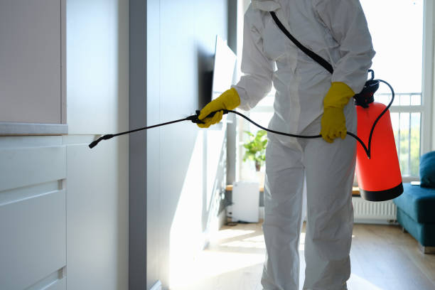 Best Emergency Mold Removal  in De Graff, OH